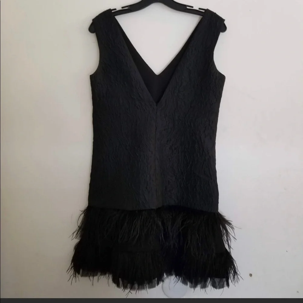 BCBG MaxAzria Black Sleeveless Jamysen Feather Trim Jacquard Mini Dress Size 0 - Picture 7 of 11
